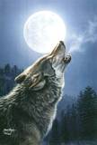 Description: Midnightstorms wolf logo