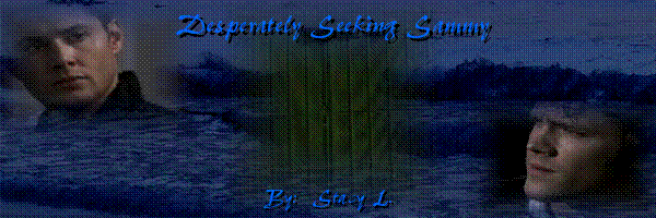 banner for desperately seeking sammy