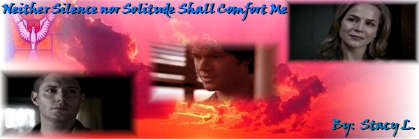Neither Silence nor Solitude Shall Comfort Me spn banner by Stacy L.